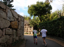 ����(�w����)���̐Ί_�B