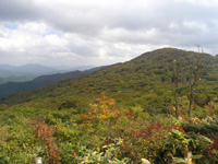 �G�X�q�R�R�����猩�����