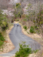 ������̗ѓ�