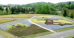 ���c���k�u�ˌ����Ԃ̍L��