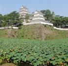 ������Ƙ@��