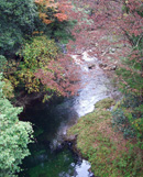 �����L����